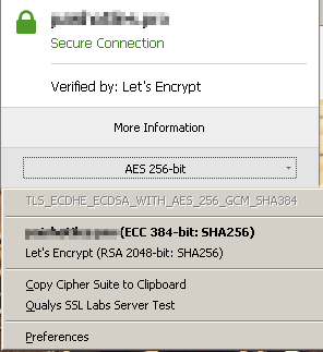 AES256 negotiated with firefox (shown using cipherFox plugin on firefox)